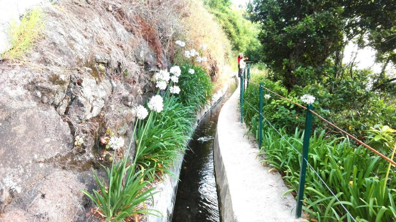 Apartamento Villa Ponta do Sol  Zewnętrze zdjęcie